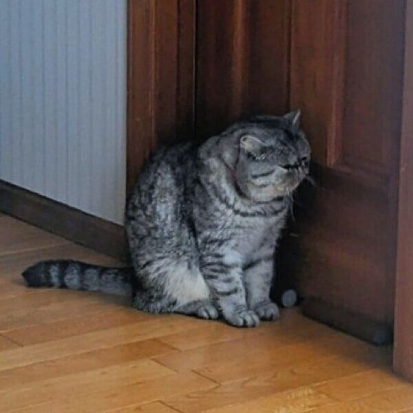 扉の前でパパさんを待つアールくん