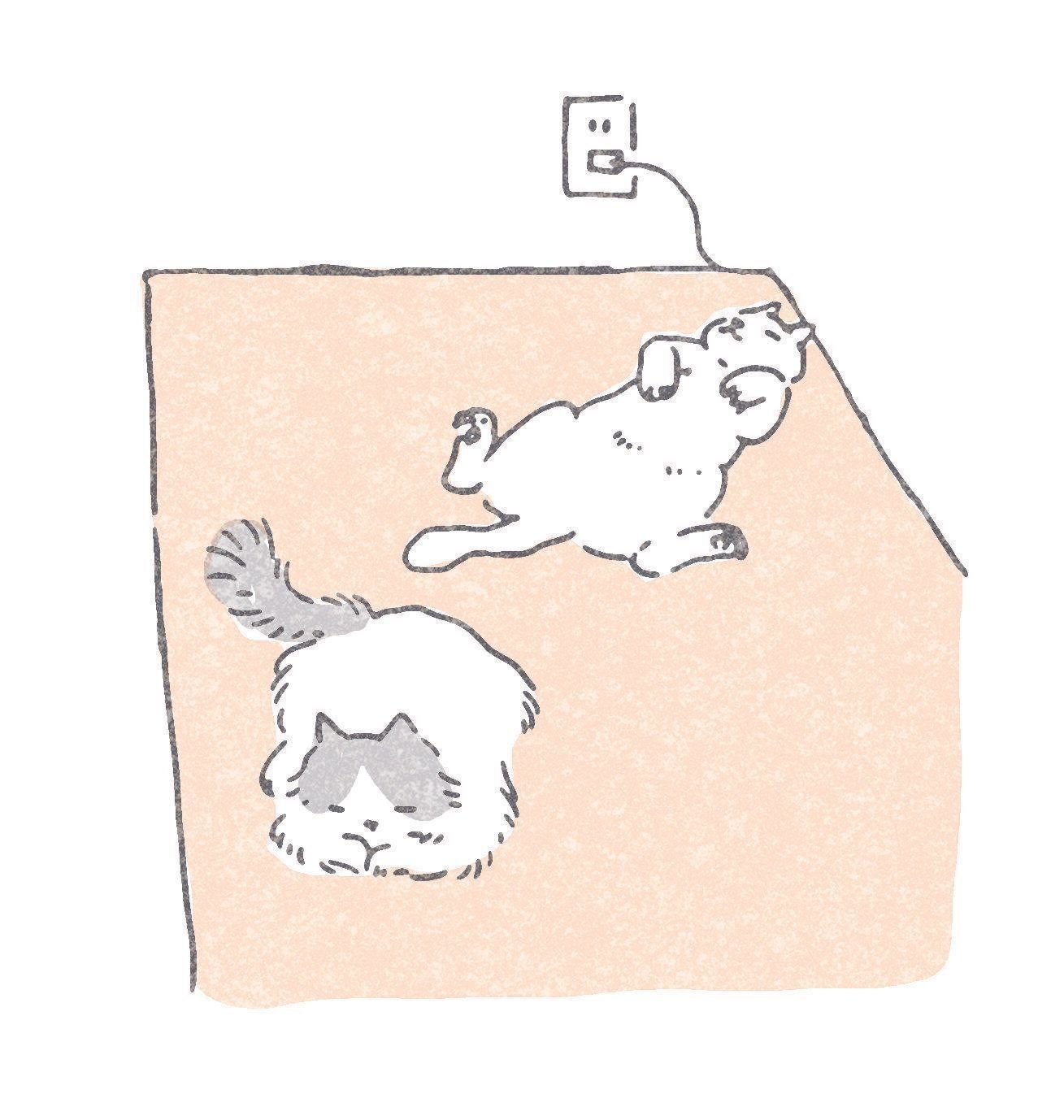 イラスト／ツキシロクミ