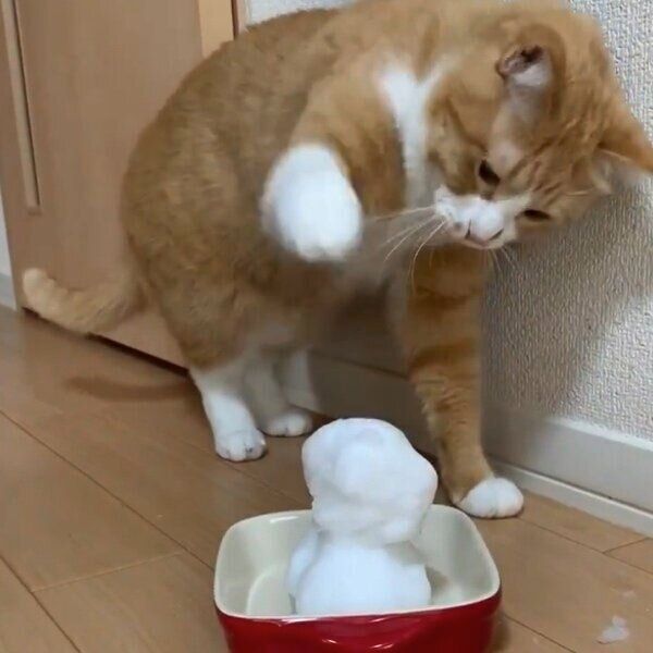 雪だるまを恐れながら触るさんてくん