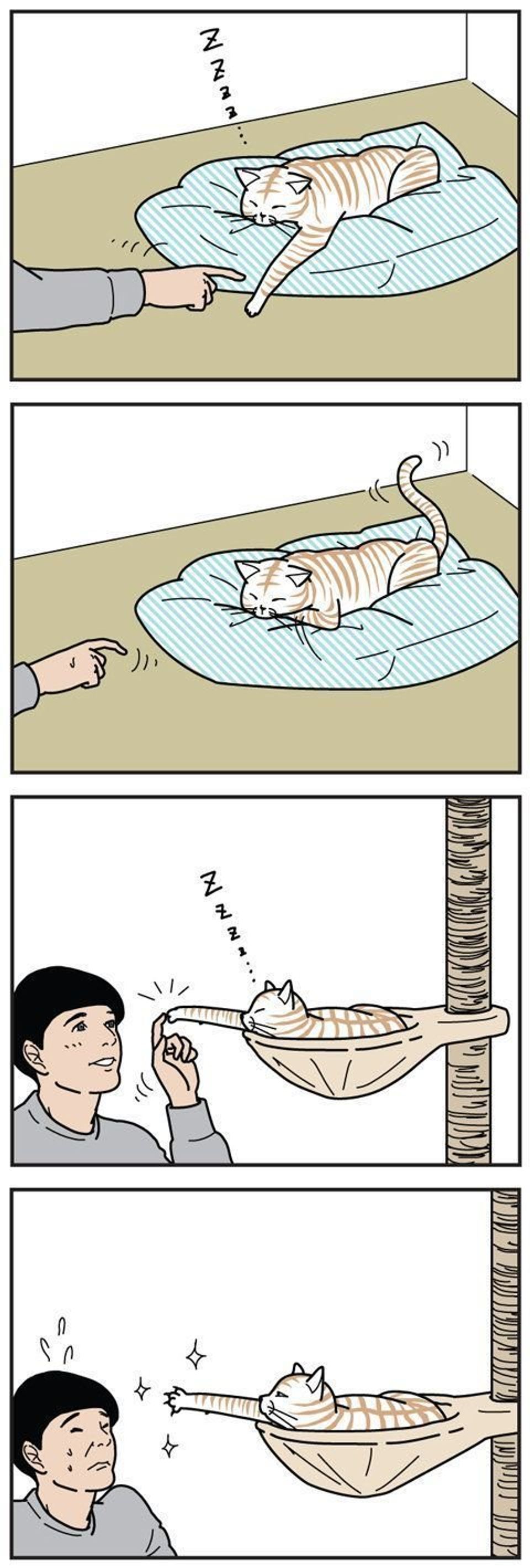 魅惑的な前足と鋭い爪は表裏一体である 男の猫道 Vol 76 ねこのきもちweb Magazine 魅惑的な前足と鋭い爪は表裏一体である 男の猫道 Vol 76 ねこのきもちweb Magazine