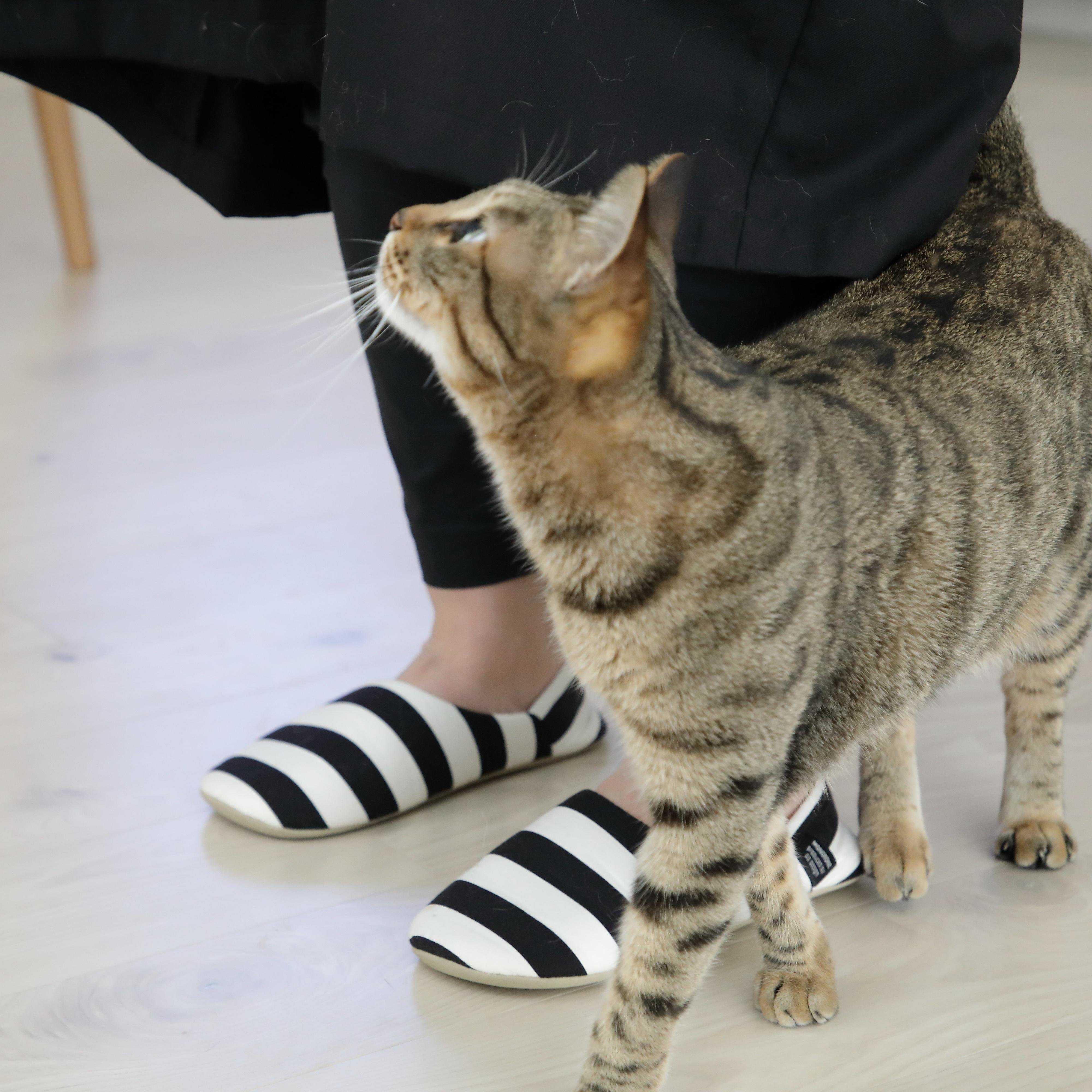 撮影／尾﨑たまき