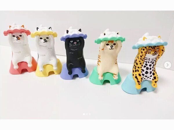 シャンプーハットが邪魔で手が届かない…」 洗髪する猫たちの