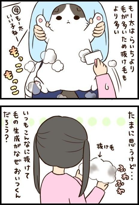 「もふもふスコたん」22話目