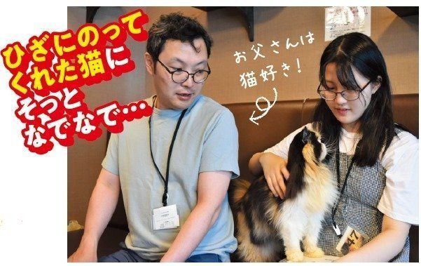 画像／ねこのきもち2018年11月号