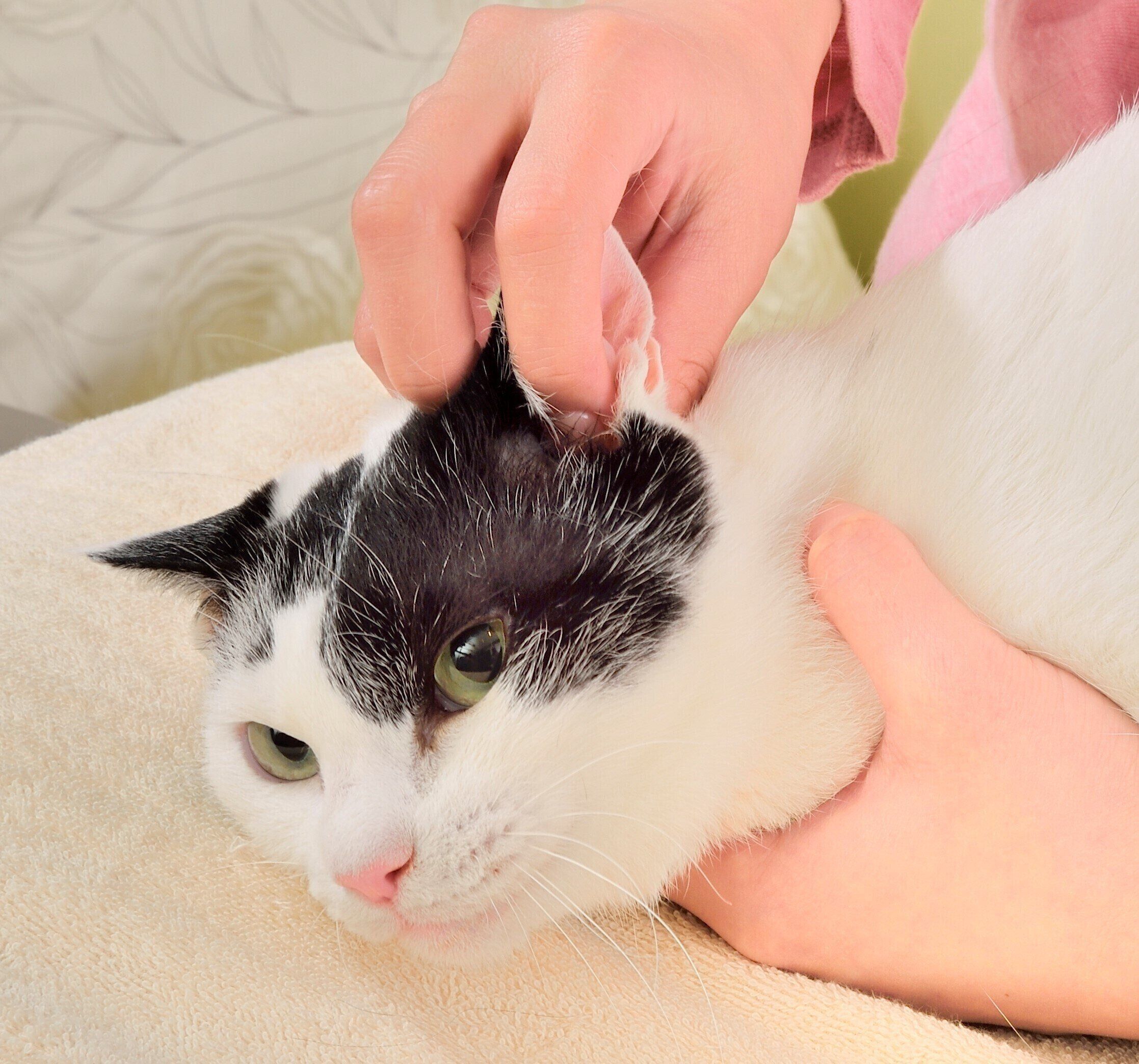 撮影／佐藤正之