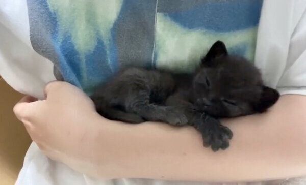 保護した頃のこぐまくん