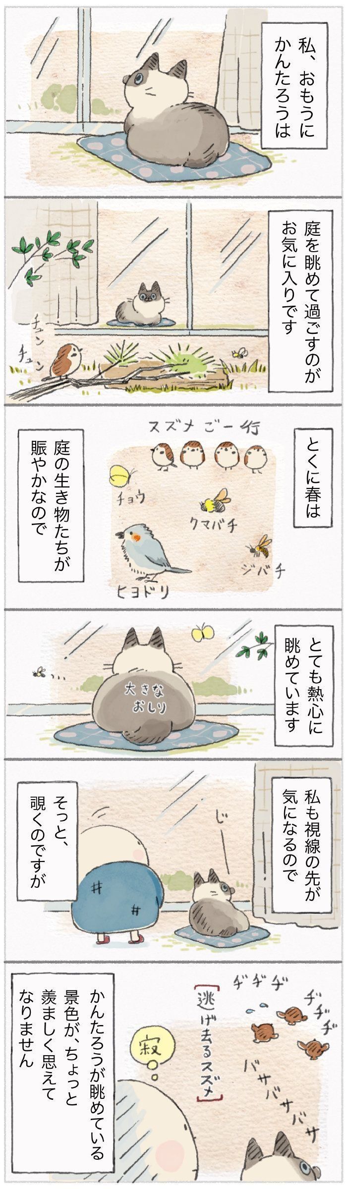 「ねこ連れ草」68話め
