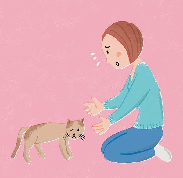 愛猫の幸せな後半生のために考えておくこととは