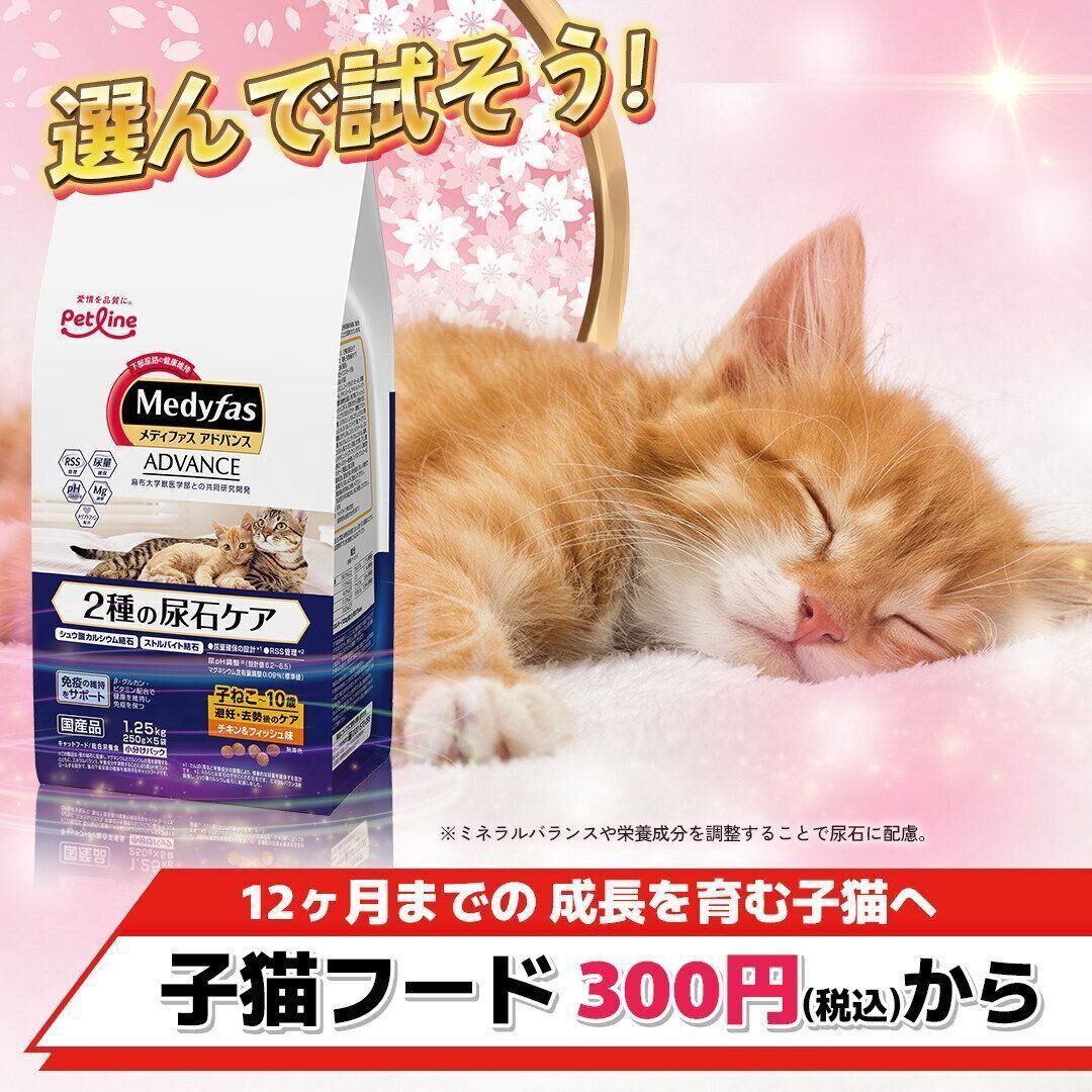 お試しできるフードを見る