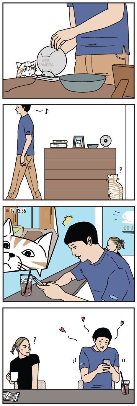 男の猫道 48話目