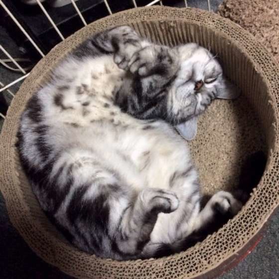 すっかり甘えモードな詩代ちゃん