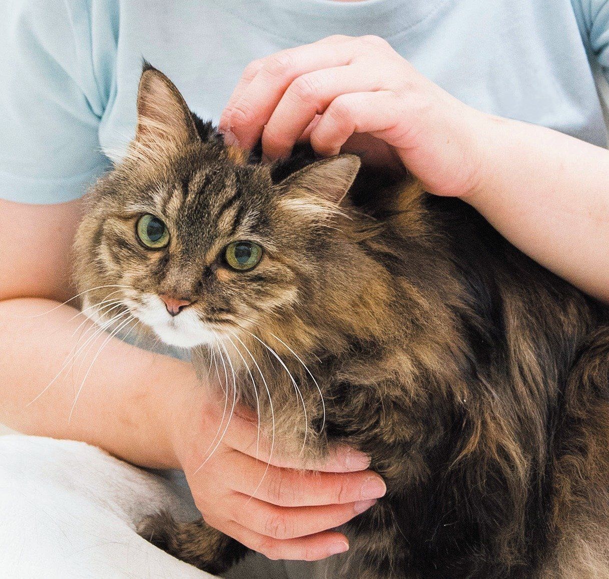 撮影／中川文作