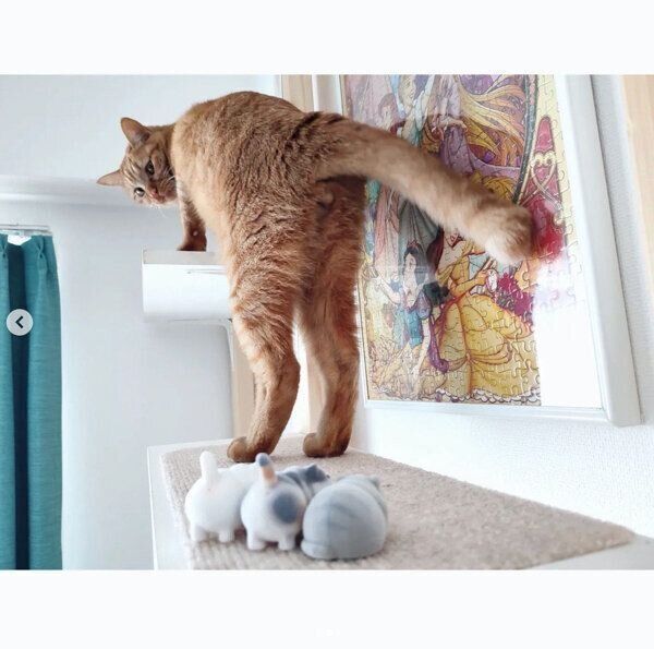 カプセルトイ「牛人のぽちゃぽちゃおキャット様 フロッキーフィギュア」