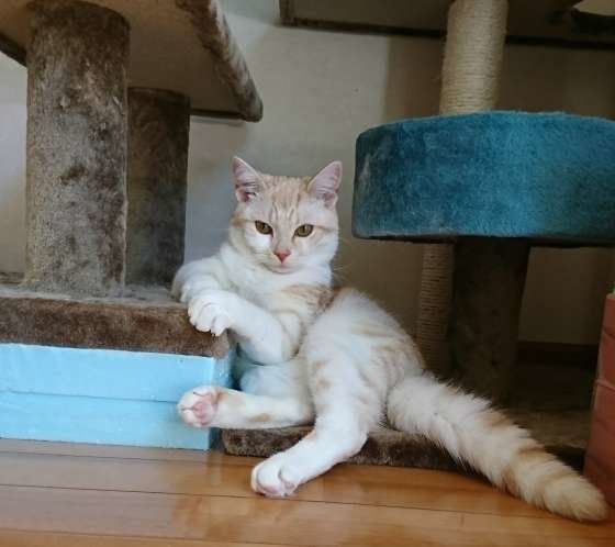 お兄ちゃんにチョッカイばかりする弟