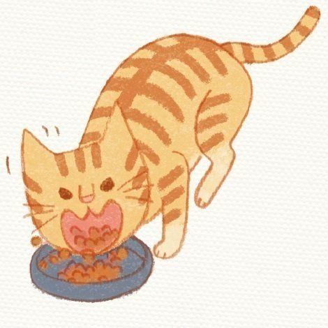 イラスト／浅羽ピピ