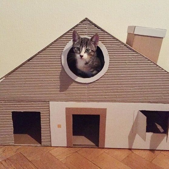 ハイジ風の段ボールハウス