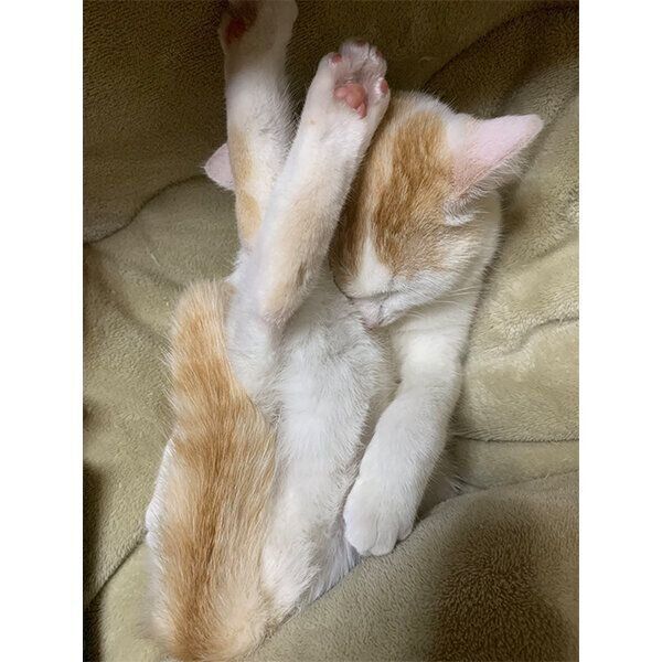 寝相がすごいまろ様