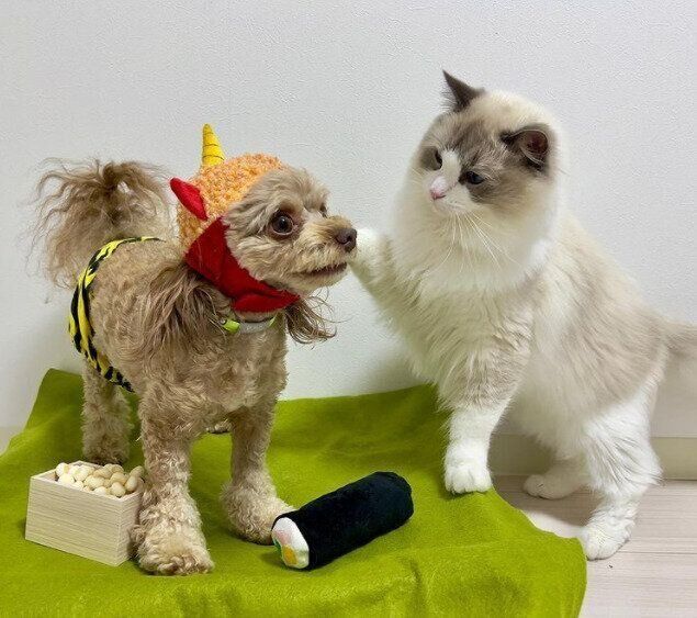 節分のパルフェくんとのえるくん