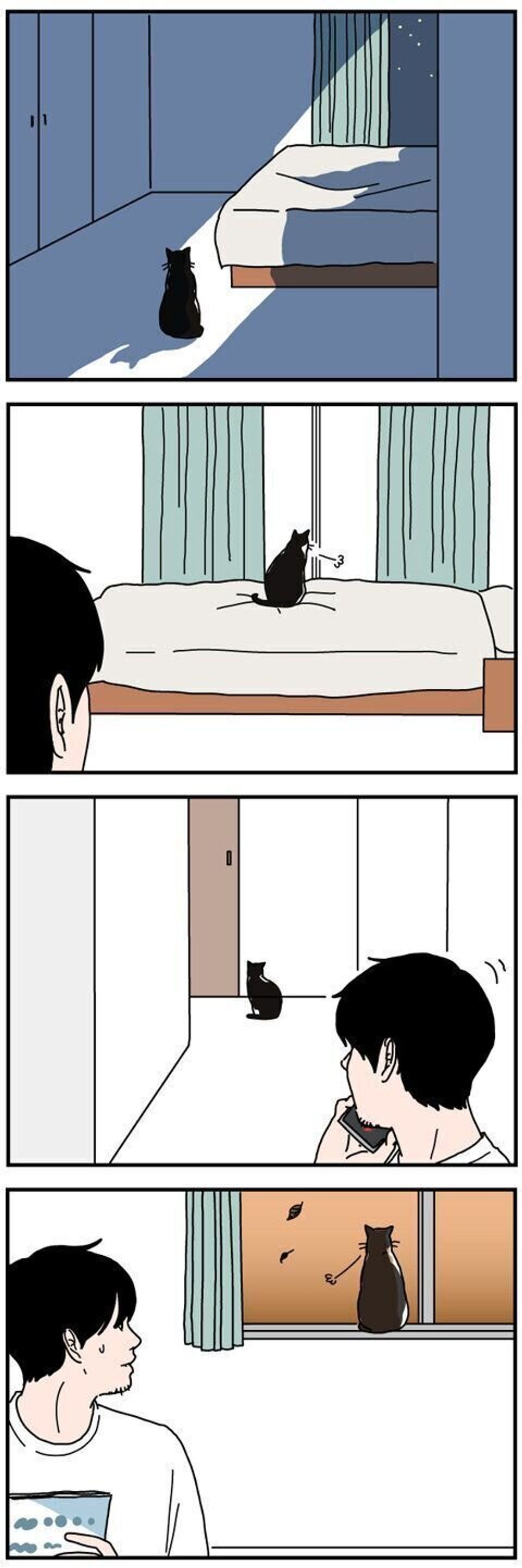 猫の後ろ姿には哀愁が漂っている 男の猫道 ねこのきもちweb Magazine限定話 Vol 145 ねこのきもちweb Magazine 猫の後ろ姿には哀愁が漂っている 男の猫道 ねこのきもちweb Magazine限定話 Vol 145 ねこのきもちweb Magazine
