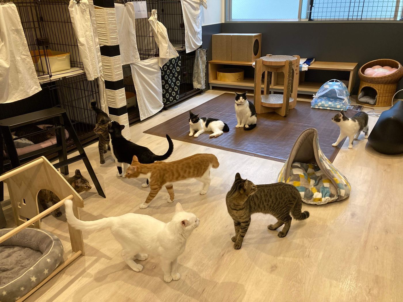 当時のメディア報道・掲載写真