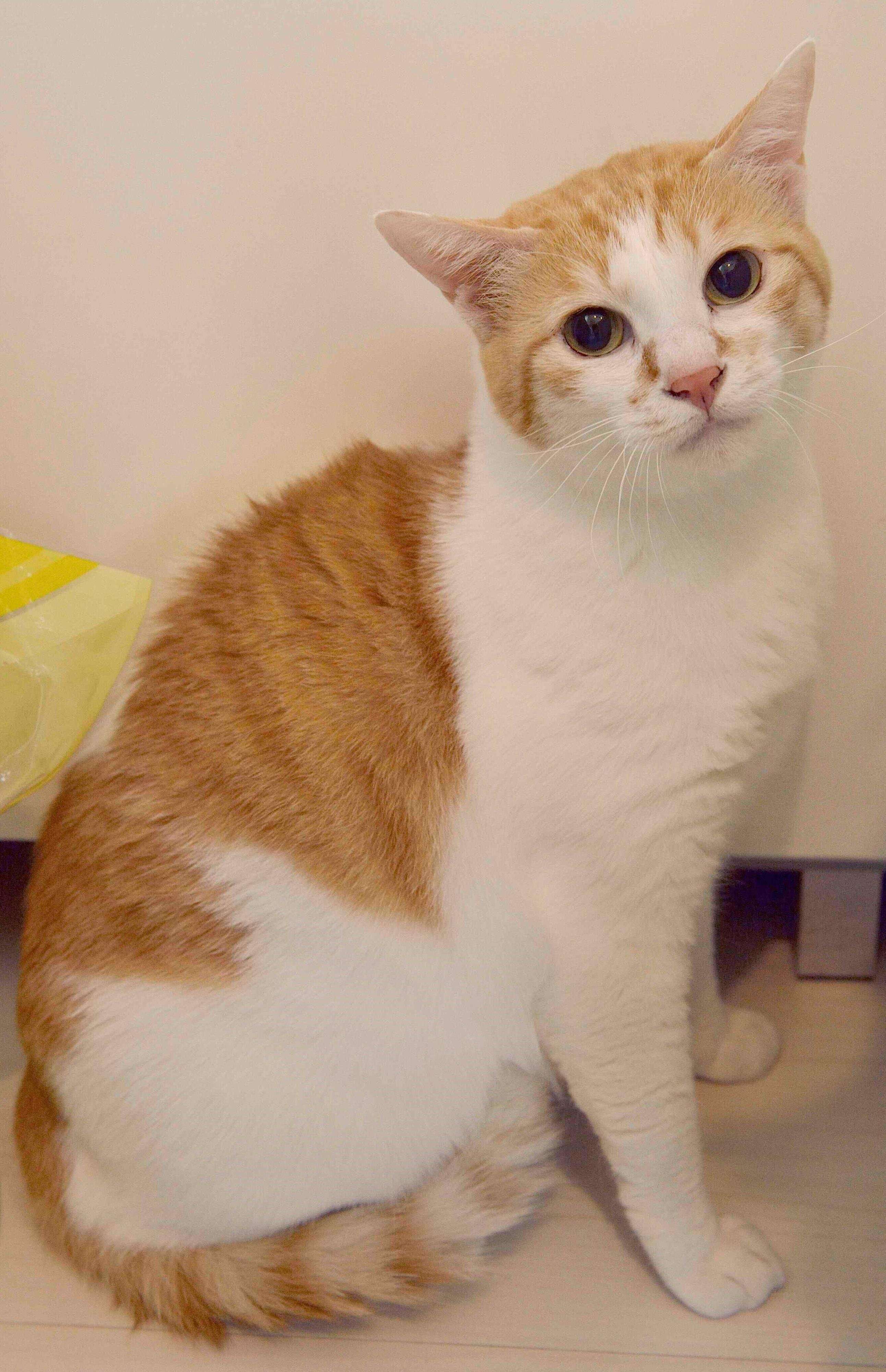 撮影／奥山美奈子