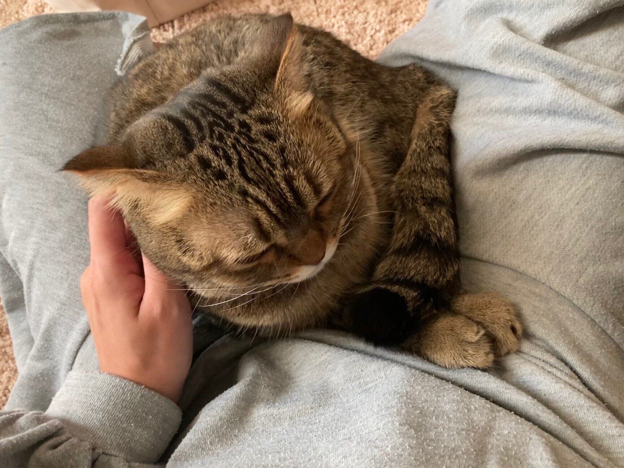 写真提供／読者