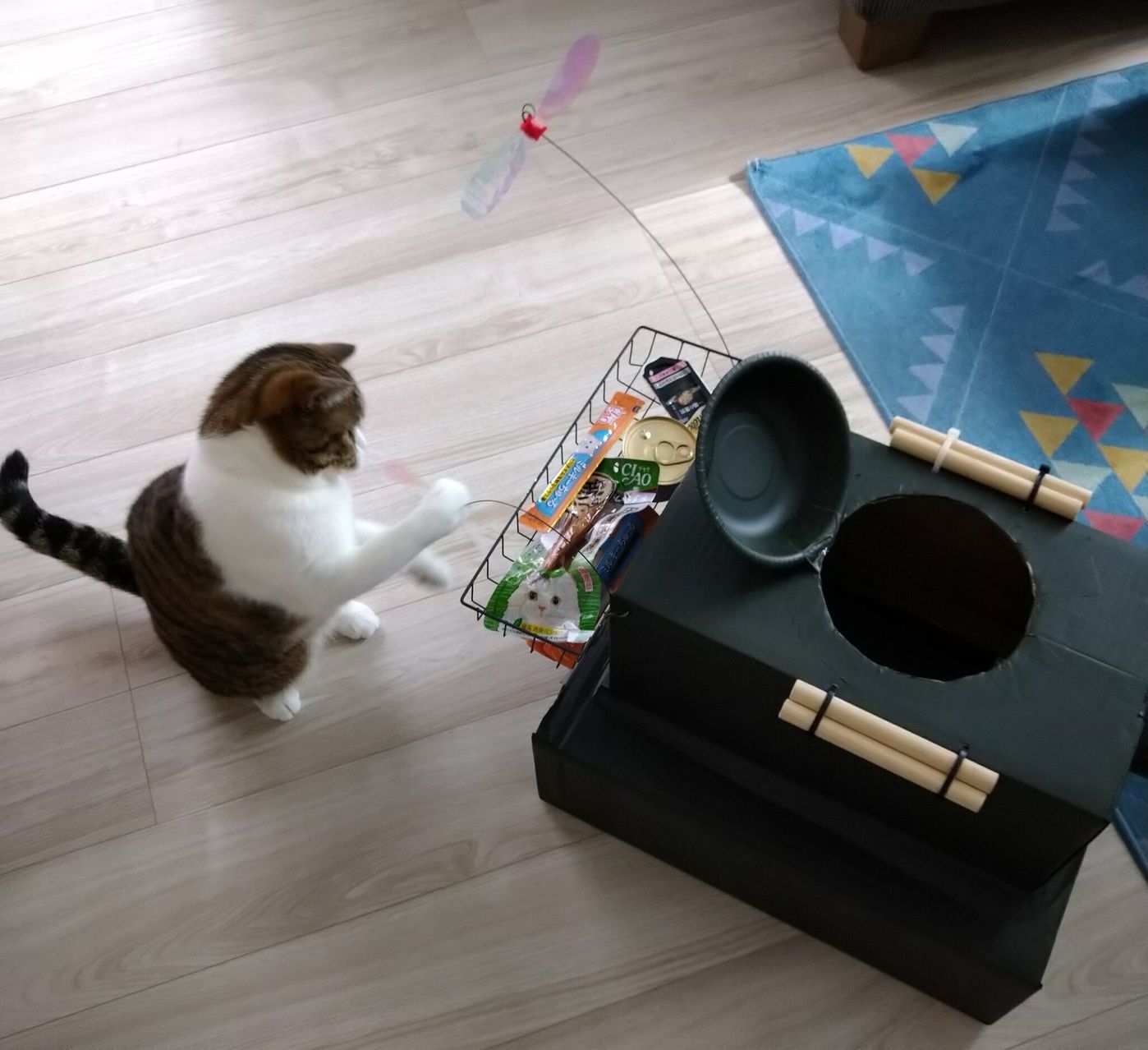 アーミーカラーがかっこいいニャ 段ボールで作る猫戦車 ねこのきもちweb Magazine アーミーカラーがかっこいいニャ 段ボールで作る猫戦車 ねこのきもちweb Magazine