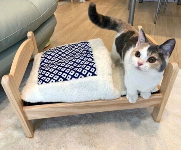 ベッドの上に乗るアラレちゃん