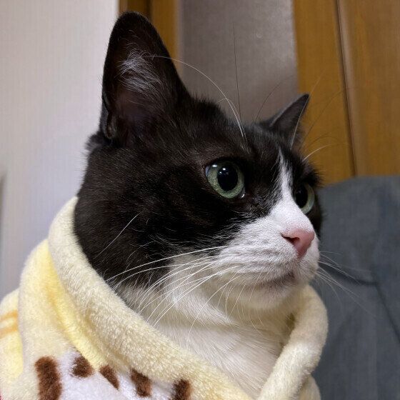 MIX黒×白のテッタくん