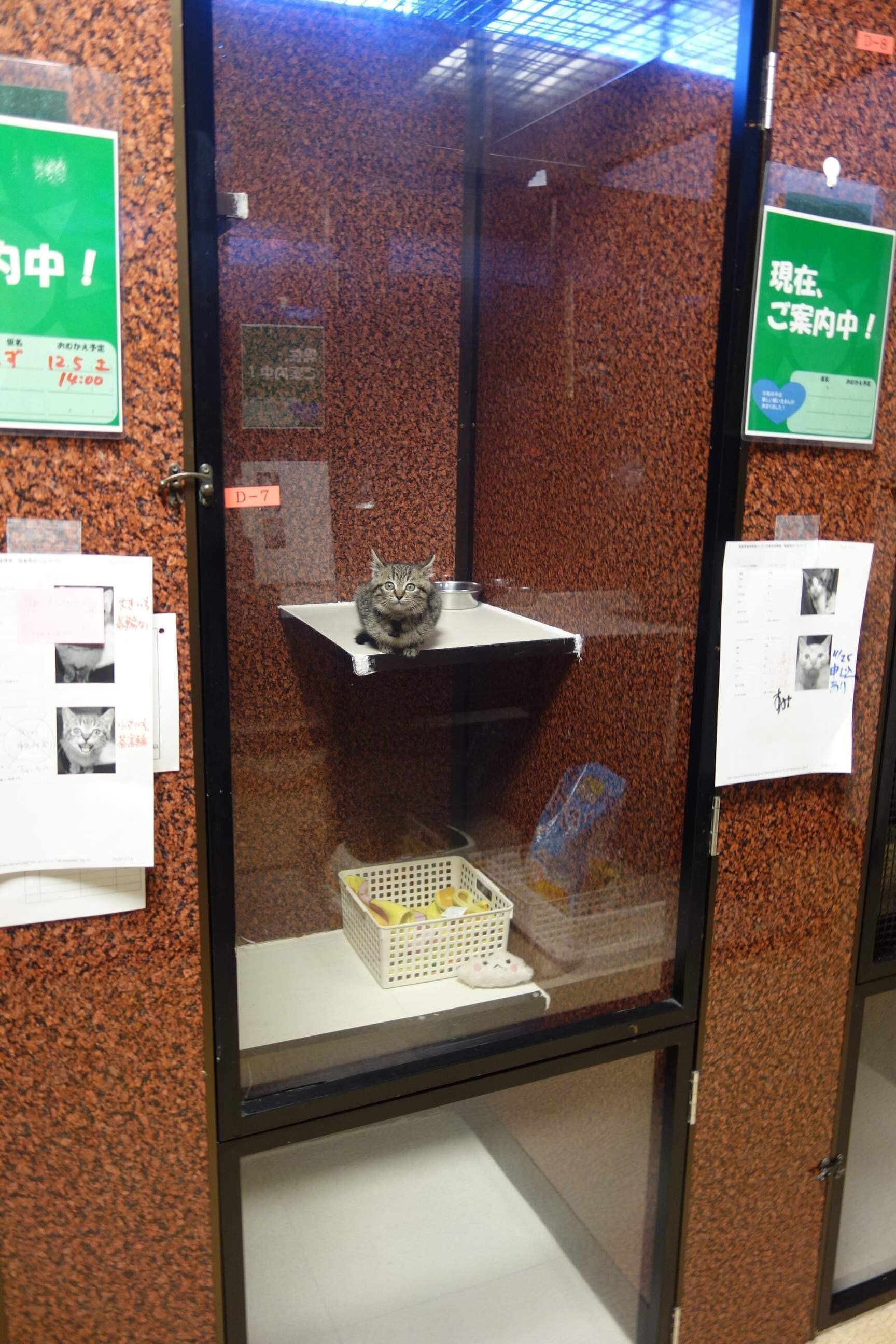 写真提供／ハピまるふくしま