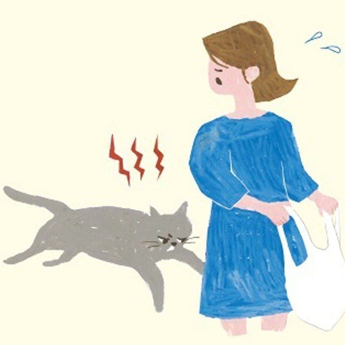 イラスト／mollydomon