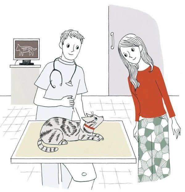 冬に注意したい病気「猫カゼ」とは