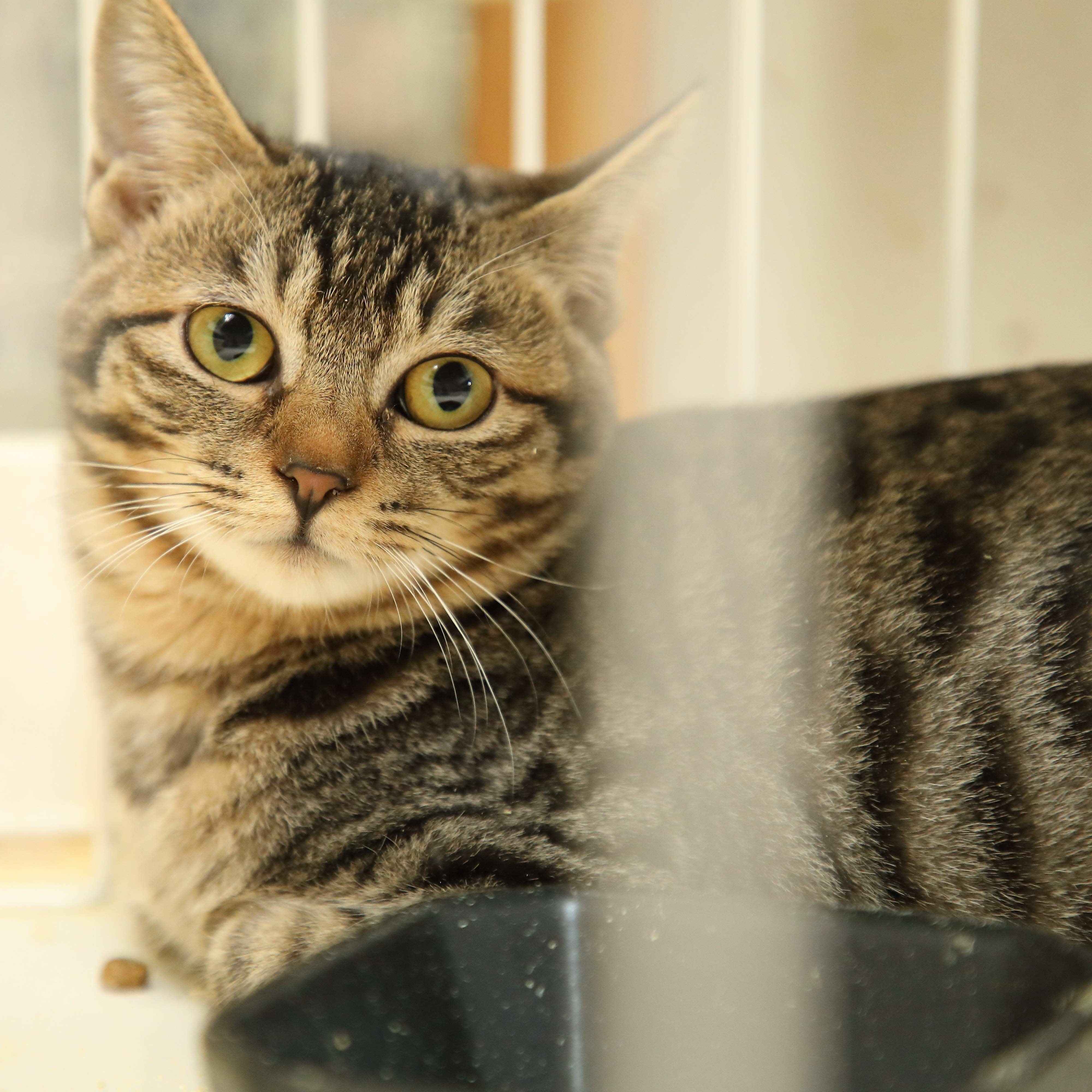 撮影／尾﨑たまき