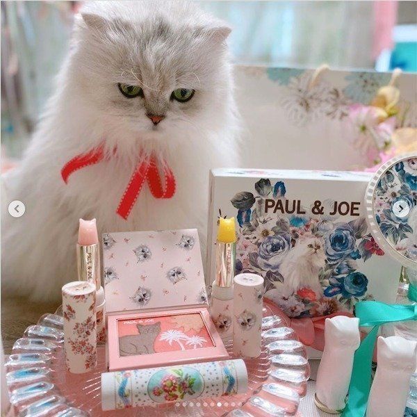 PAUL & JOEの猫コスメ