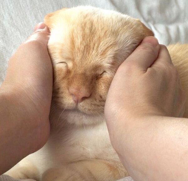 味のある表情をするてとちゃん