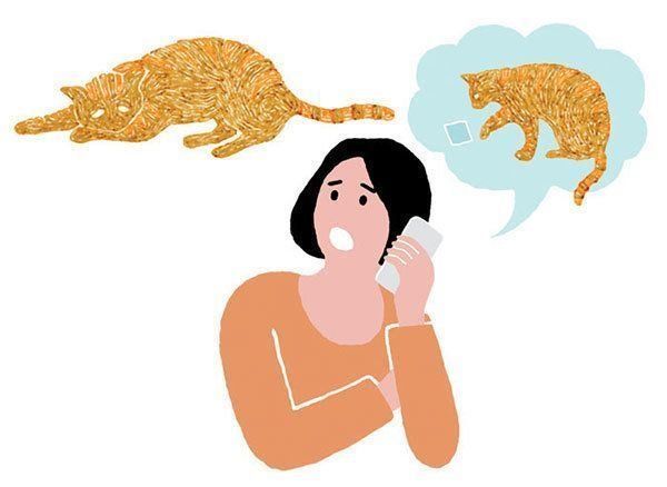 動物病院に電話をかける飼い主さん