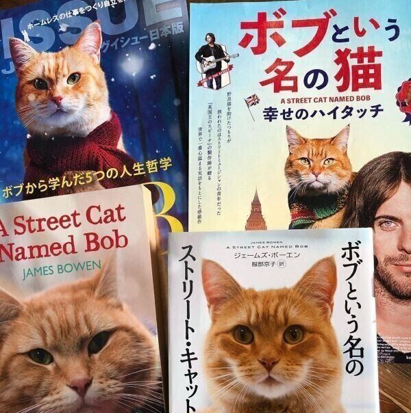ボブという名の猫