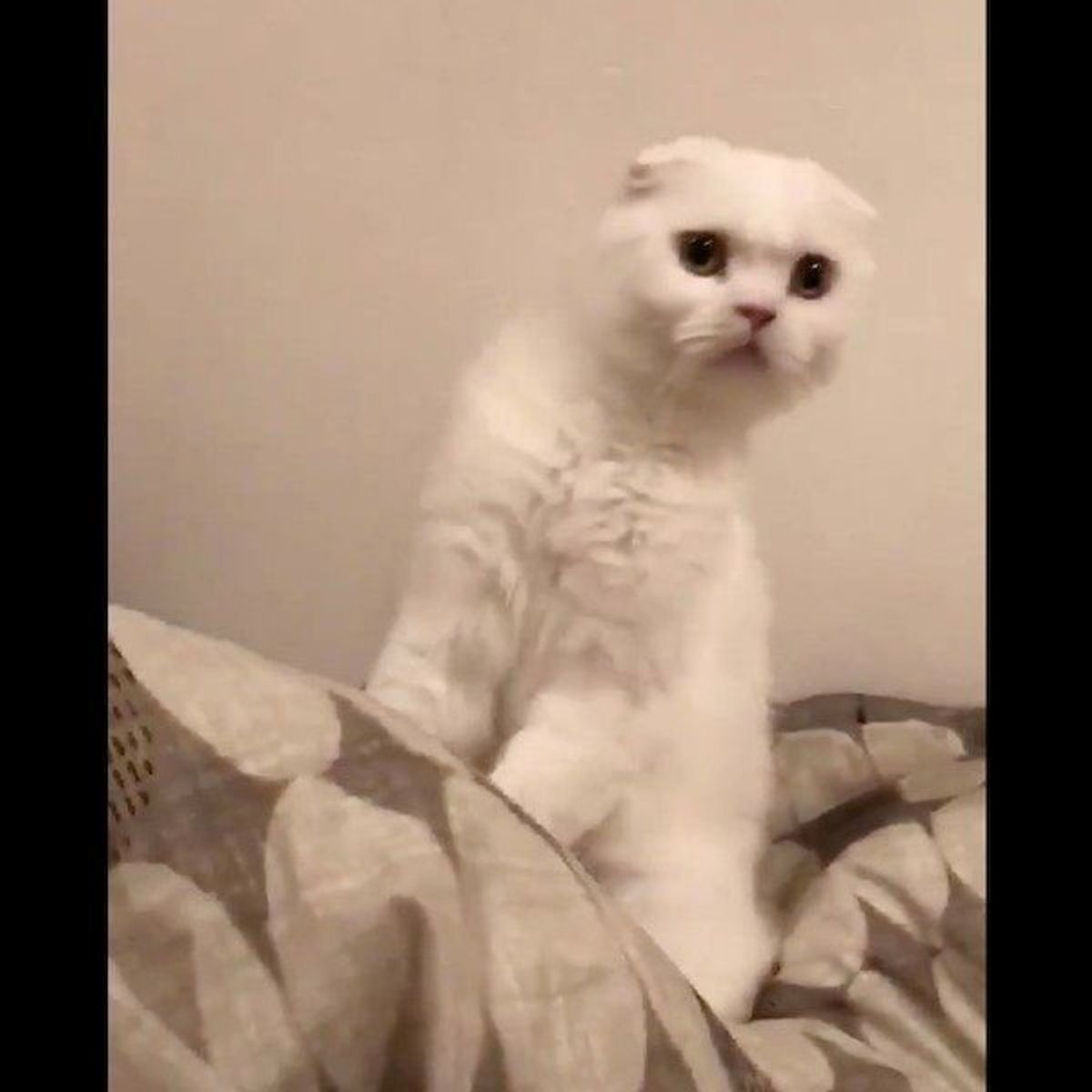 C8xn8f2pgl9qkm C8xn8f2pgl9qkm