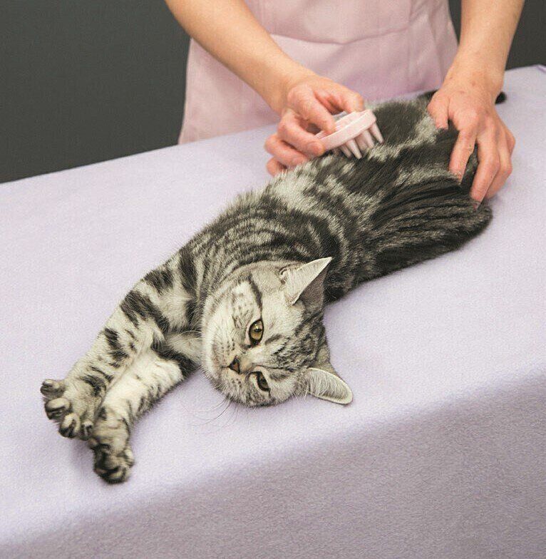 撮影／中川文作