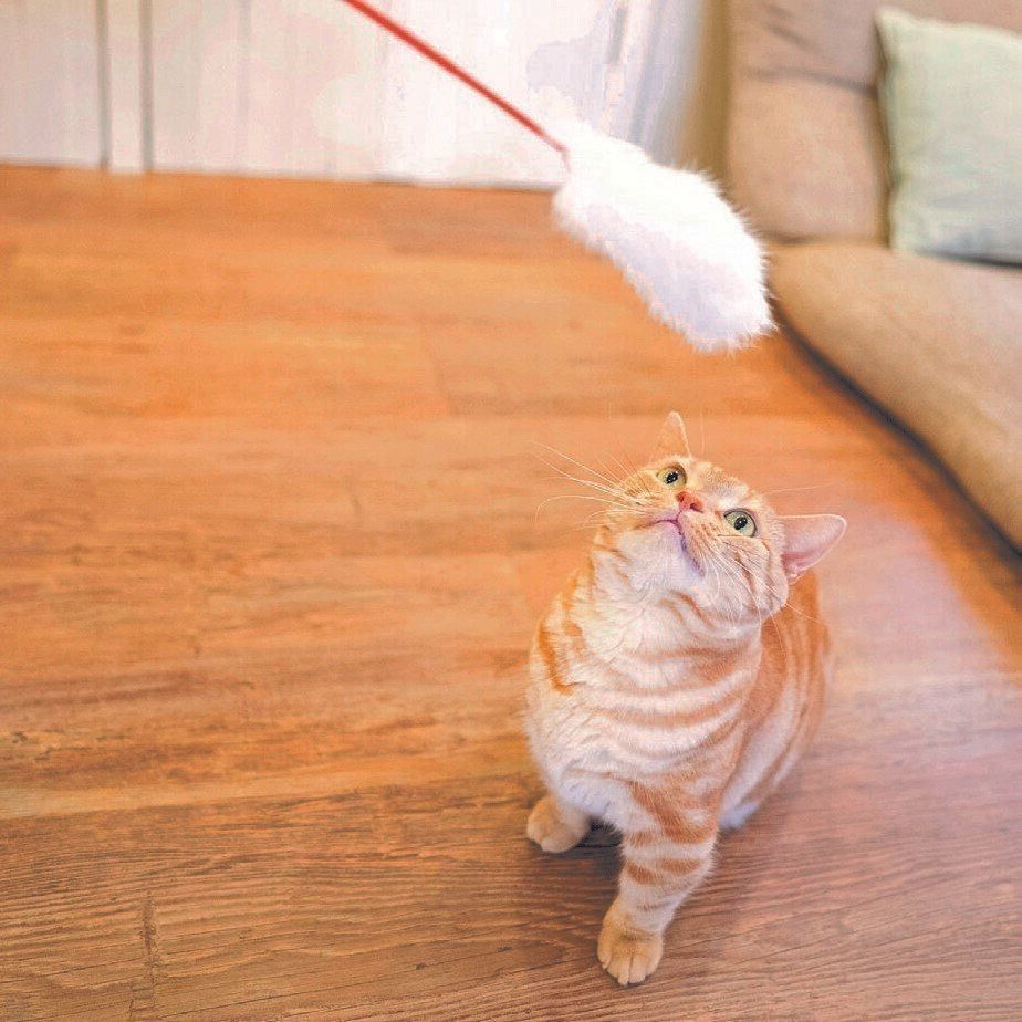 撮影／石原さくら