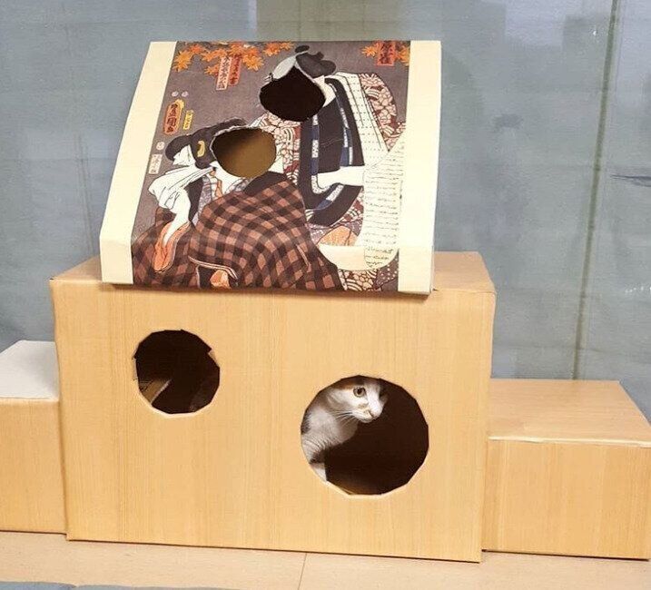 顔出しパネル段ボールハウス