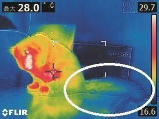 画像／2018年1月号「冷えとりマッサージ」