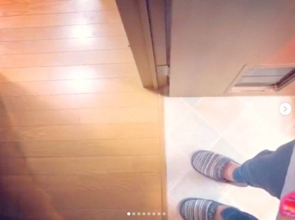 飼い主さんをストーカーするエキゾチックショートヘア