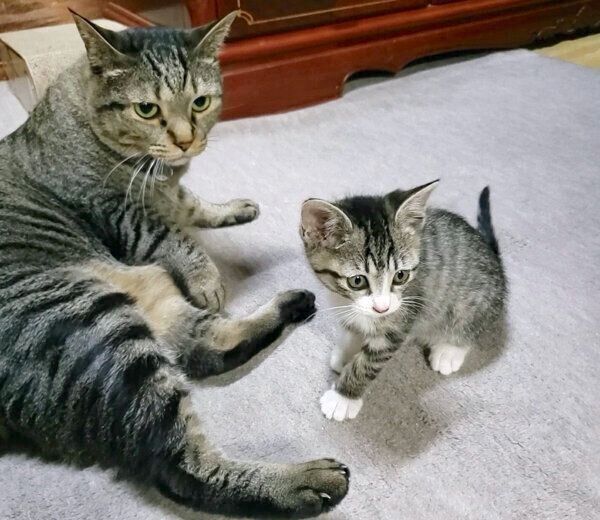 仲良く遊ぶノアちゃんとメイちゃん