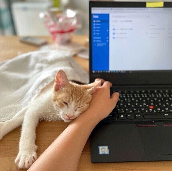 まったりするポットくん