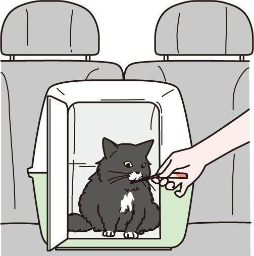  イラスト／二階堂ちはる