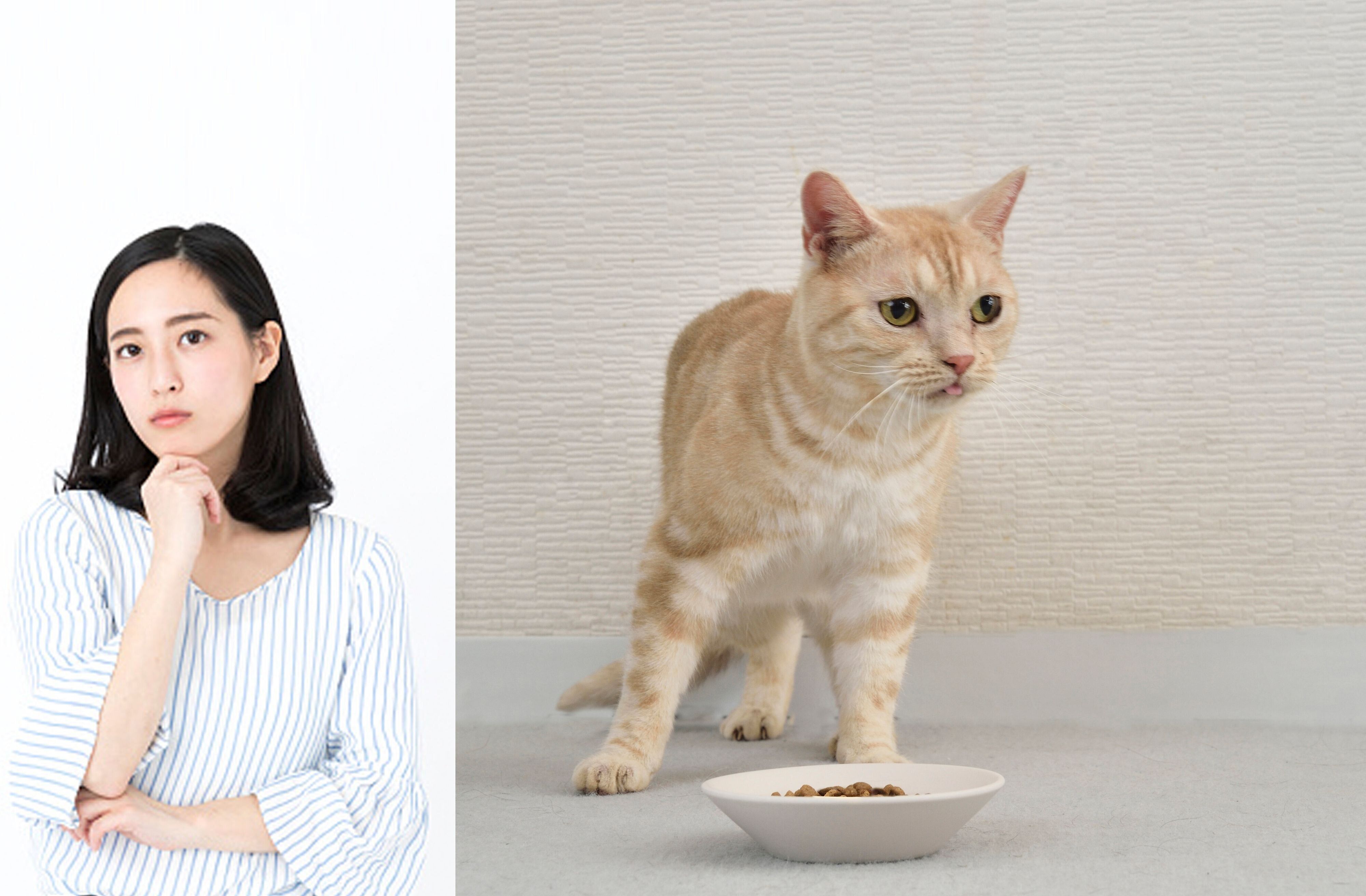 食にこだわる愛猫に悩む飼い主