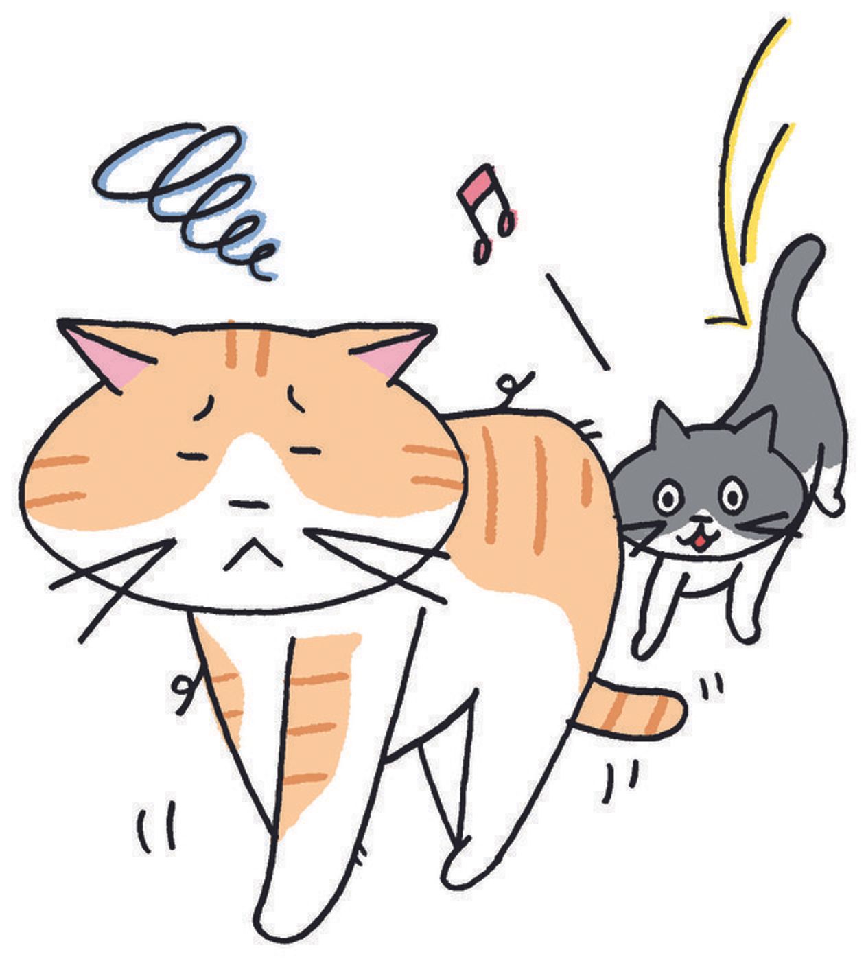 獣医師監修 猫にしてはいけないng行動集 猫が嫌がること 危険なこと ねこのきもちweb Magazine 獣医師監修 猫にしてはいけないng行動集 猫が嫌がること 危険なこと ねこのきもちweb Magazine