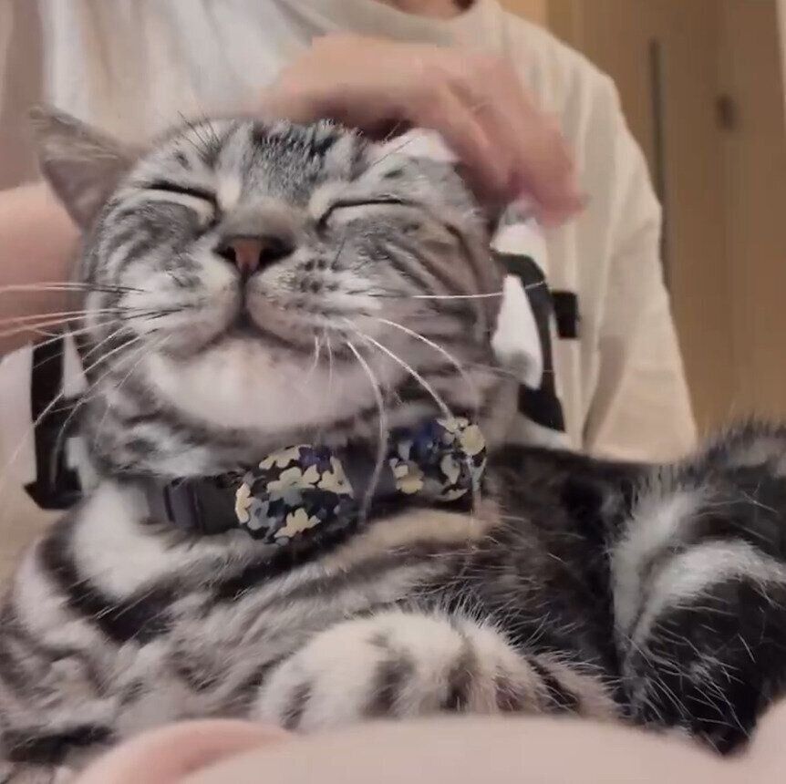 うっとりした表情をするりんくん
