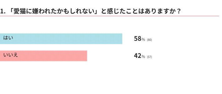 愛猫に嫌われたかもしれないと感じたことはありますか？